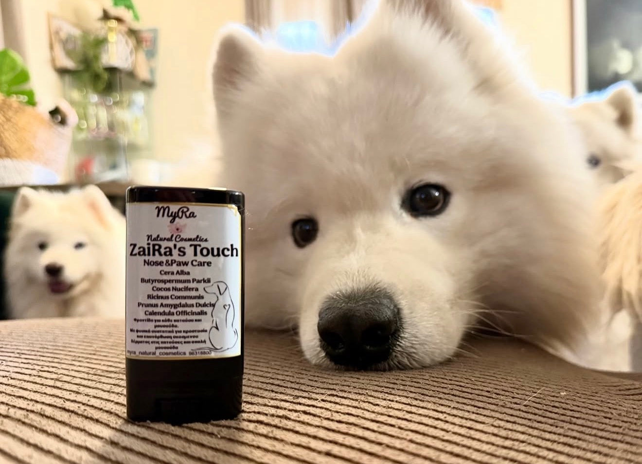 Zaira's Touch - Nose and Paw Care